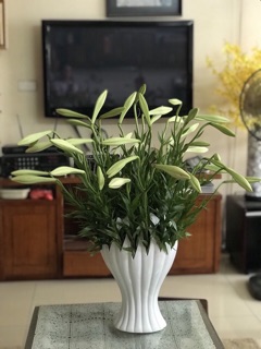 Lọ cắm hoa bàn tay phật
