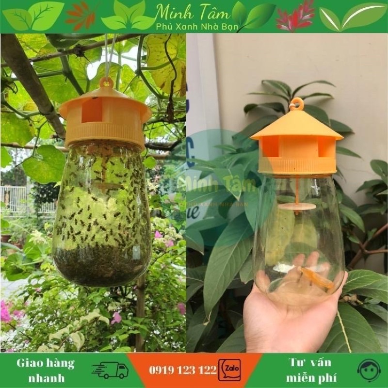 1 Ống  dẫn dụ ruồi vàng lọ 2ml