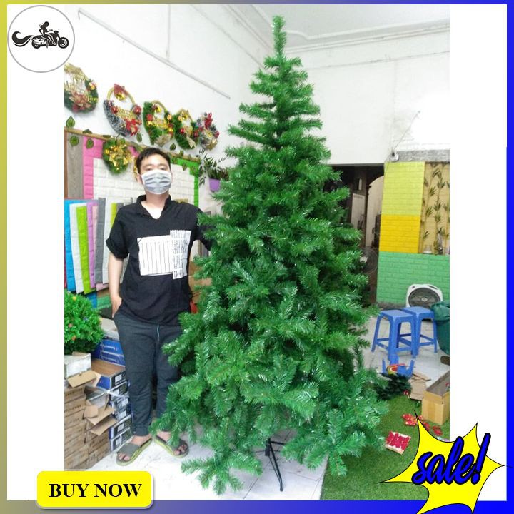 Cây thông noel cao 3m chân sắt tán dày sum suê tặng kèm 8 dây kim tuyến và ngôi sao đỉnh