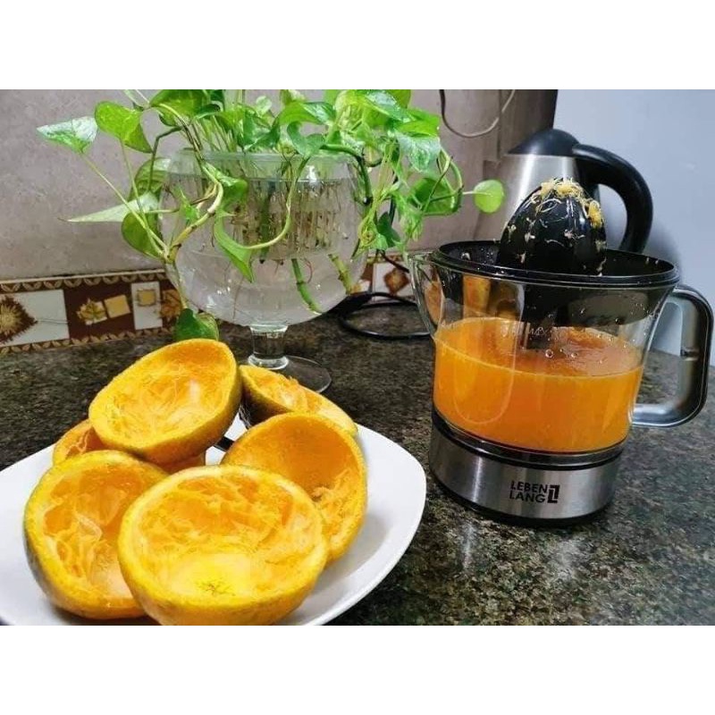 Máy vât cam LEBEN LANG LB389 (700ml) thương hiệu Đức