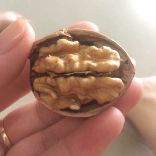 Óc chó khô núi rừng sapa 1 kg