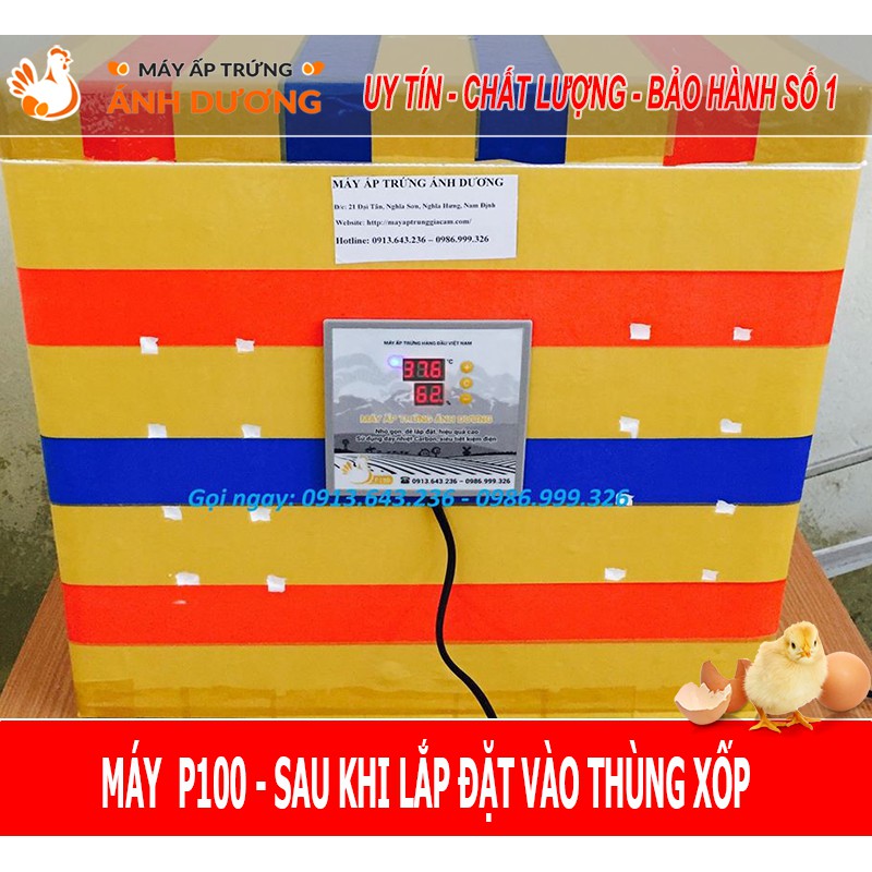 - Máy ấp trứng mini Ánh Dương P100 dây nhiệt Carbon- Ấp 1-100 trứng đảo tay, tự lắp ráp - Hàng Sẵn