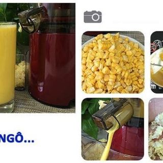Máy ép chậm SATVM