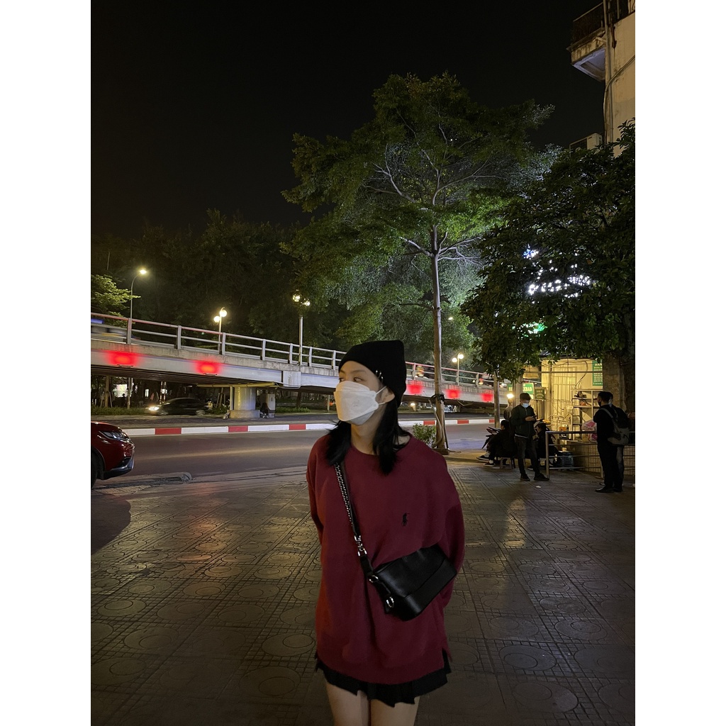 (FREESHIP) Áo sweater thêu hình ngựa hàng quảng châu Miho house