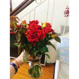 Bình Bông Lọ Hoa Thủy Tinh Eo Nhỏ