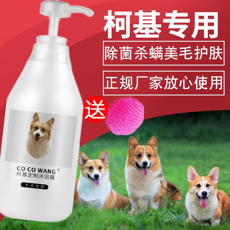 sữa tắm Corgi cho chó, sữa tắm cho chó, sản phẩm dành cho thú cưng, dầu gội làm đẹp lông