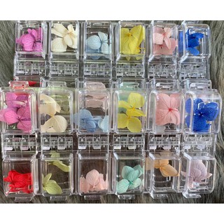 Hoa Khô Lụa 12 màu Ẩn Gel, Ẩn Bột