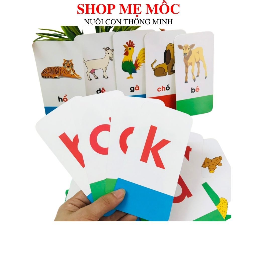 Bộ Thẻ Học Flash Card gồm 40 thẻ giúp bé phát triển ngôn ngữ ngay từ bé - Shop mẹ Mốc