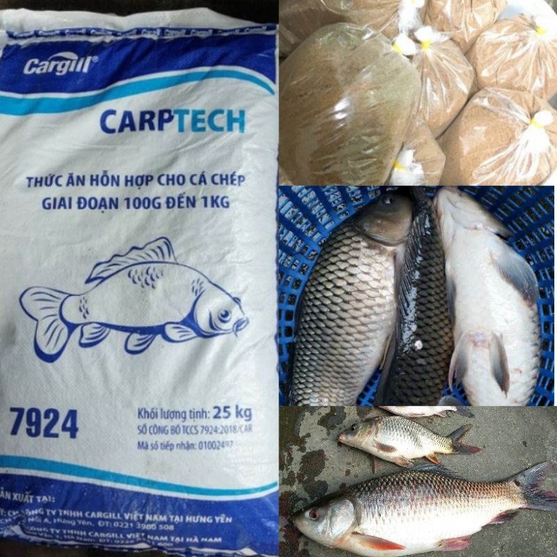 500g cám thơm 26%đạm(26%protin) mồi câu chép, trôi, trắm trắng siêu nhạy.