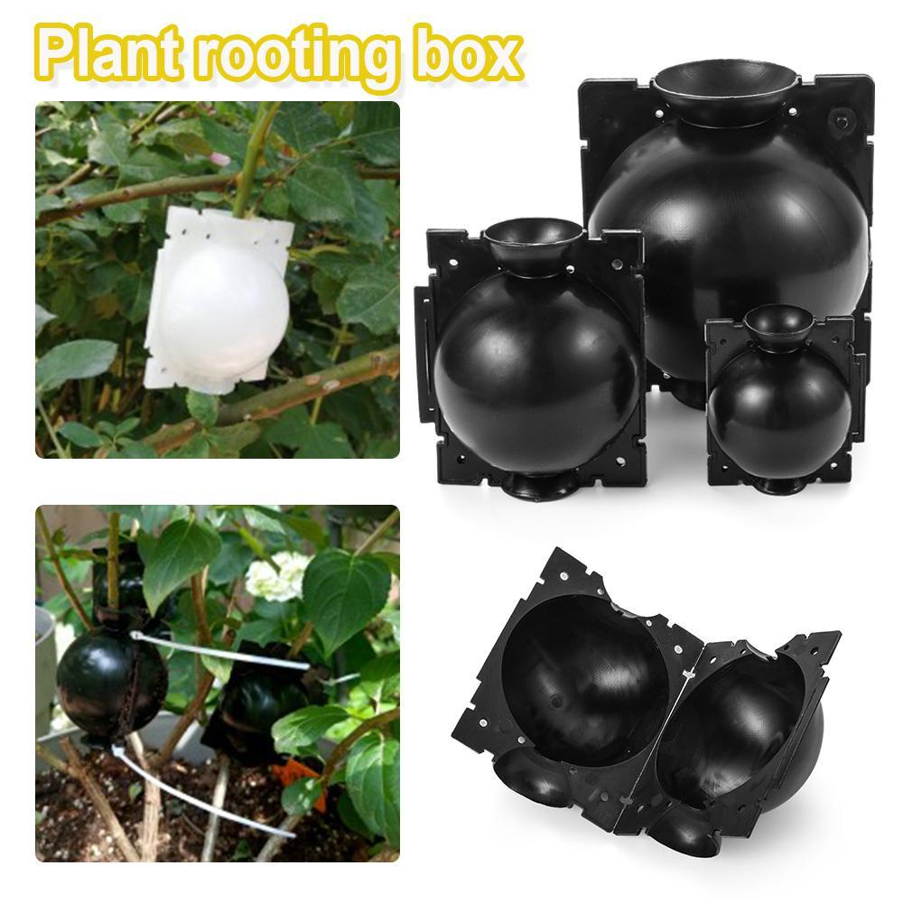 Bóng Ghép Nối Rễ Cây Điều Khiển Chuyên Dụng Cho Sân Vườn
