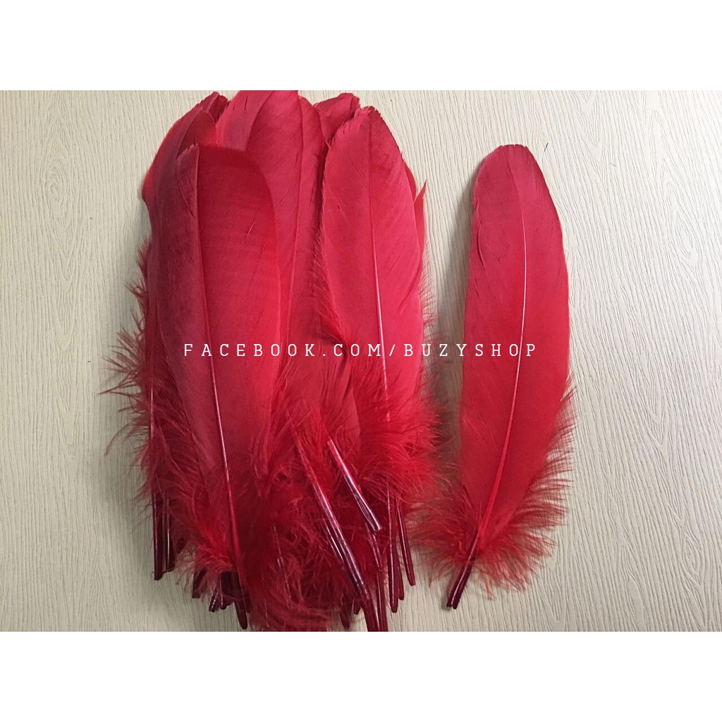 Lông gà nhuộm màu loại lớn nguyên liệu thủ công, phụ liệu handmade]