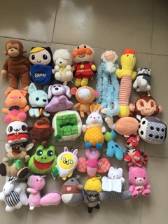 Combo 30 gấu mini size 8-10cm