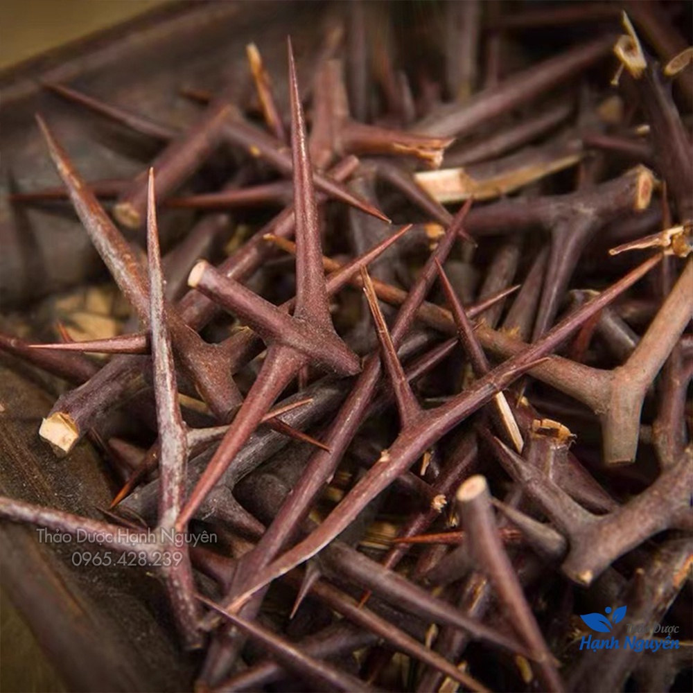 Gai bồ kết khô 1kg (Tạo giác thích)