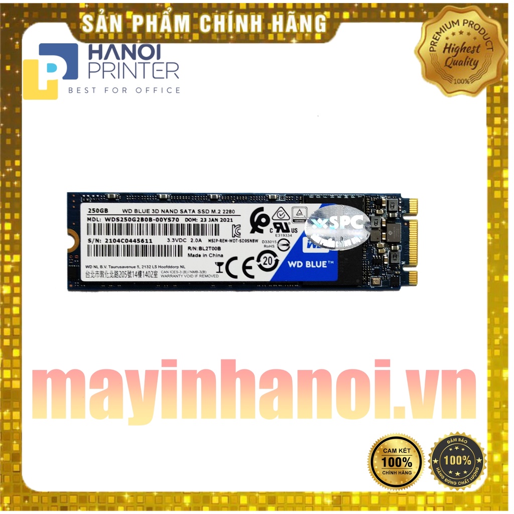 Ổ cứng SSD Western Digital WD Blue 250GB M.2 2280 SATA 3 - WDS250G2B0B, hàng chính hãng bảo hành 1 đổi 1 trong 5 năm