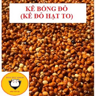 100g Kê đỏ mượt lông cho hámter baby