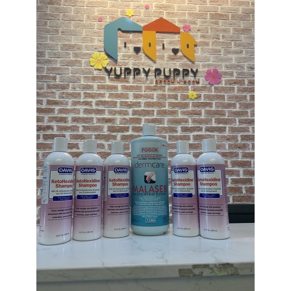 Sữa tắm trị nấm, viêm da và nhiễm trùng da chó mèo : Davis Ketohexadine , Pchelodar , Malabse , Veterinary Formula