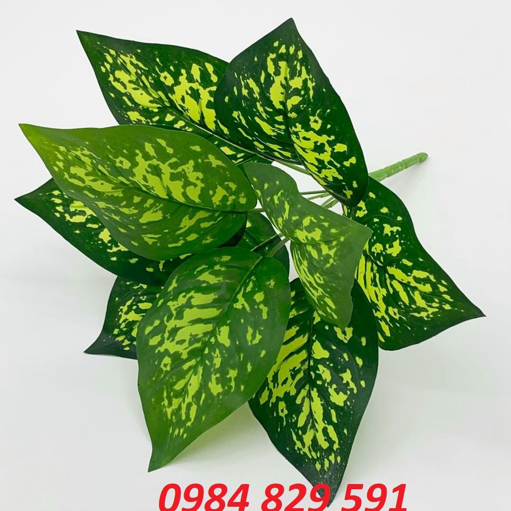 Cụm điểm trang trí tường cỏ nhân tạo, bể cá cảnh