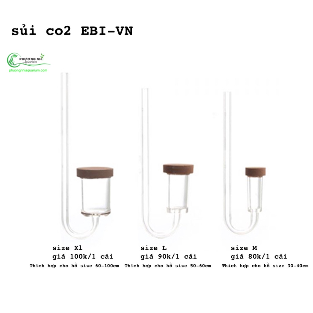 Sủi co2 siêu mịn EBI-VN