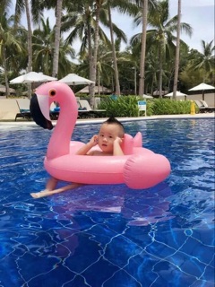 Phao bơi con hạc cho bé