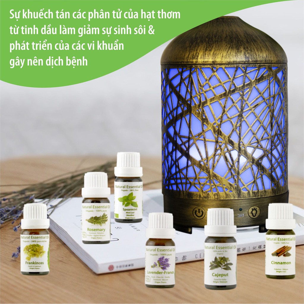 Tinh dầu nguyên chất thiên nhiên hữu cơ cao cấp Pháp xông thơm phòng lọ 10ml - Organic Essential Oil  OGANICO 11