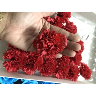 Hoa Cẩm chướng sáp