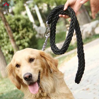 Dây Dắt Thú Cưng Đi Dạo Tiện Lợi