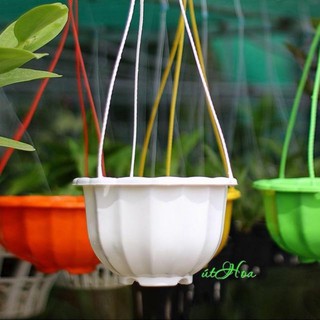 Chậu nhựa trồng hoa, trồng cây có dây treo tiện lợi