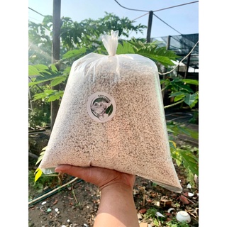 Đất ấp chuyên dụng bò sát túi 1kg ( ĐẤT TRẮNG)