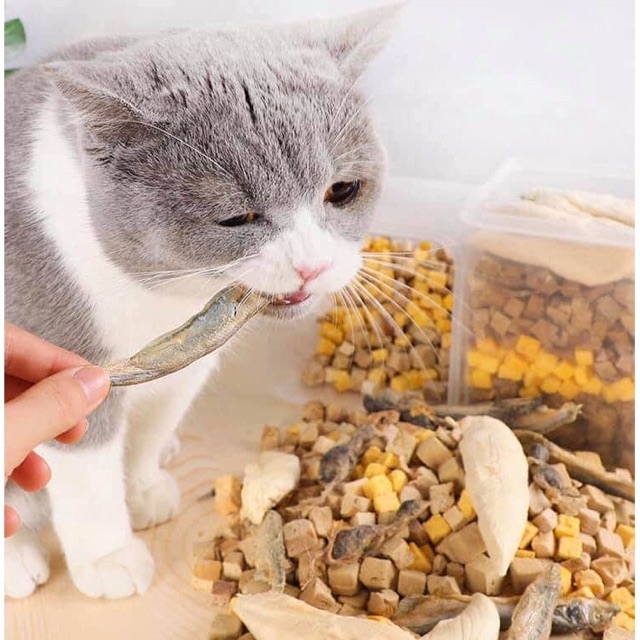 Hộp snack đủ loại , hộp thịt sấy khô cho chó mèo thú cưng