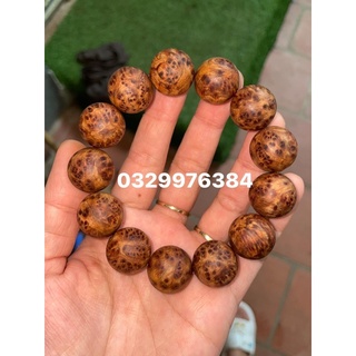 18li nu hoa Ngọc Am siêu vip