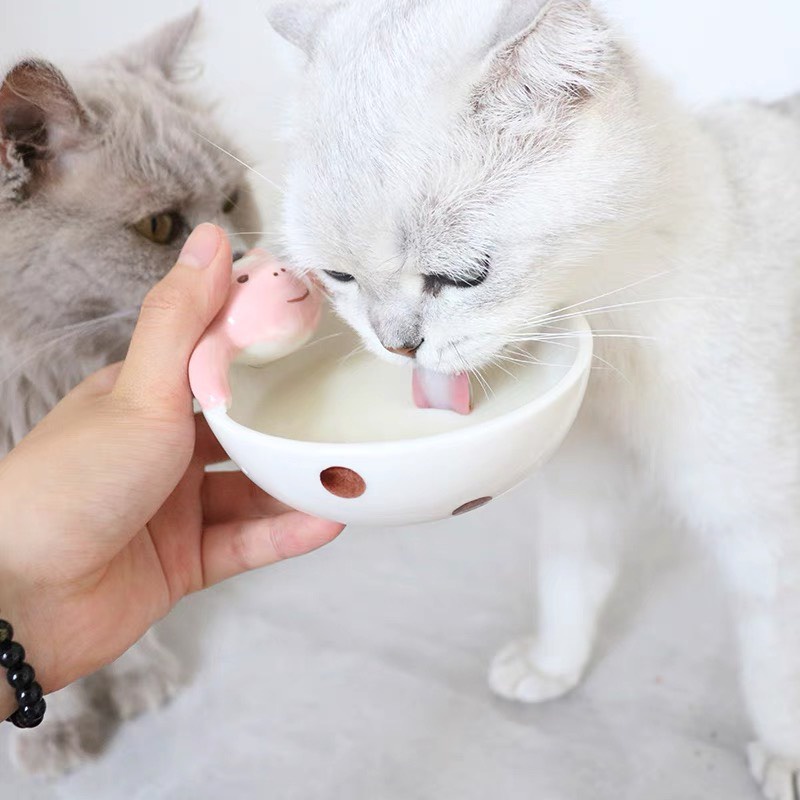 Sữa chua uống Monbab dành cho chó mèo gói 50g tốt cho tiêu hóa - Thaivucattery