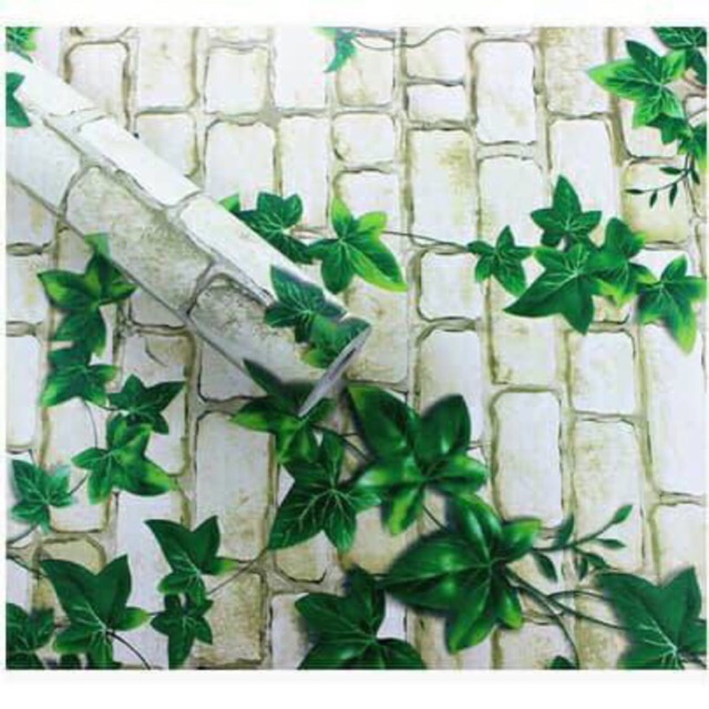 Giấy dán tường gạch dây leo