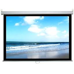 Màn Chiếu Treo Tường 96 INCH DALITE