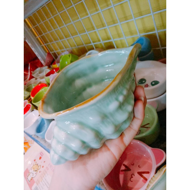 chén ốc biển - vỏ sò cho thú kiểng