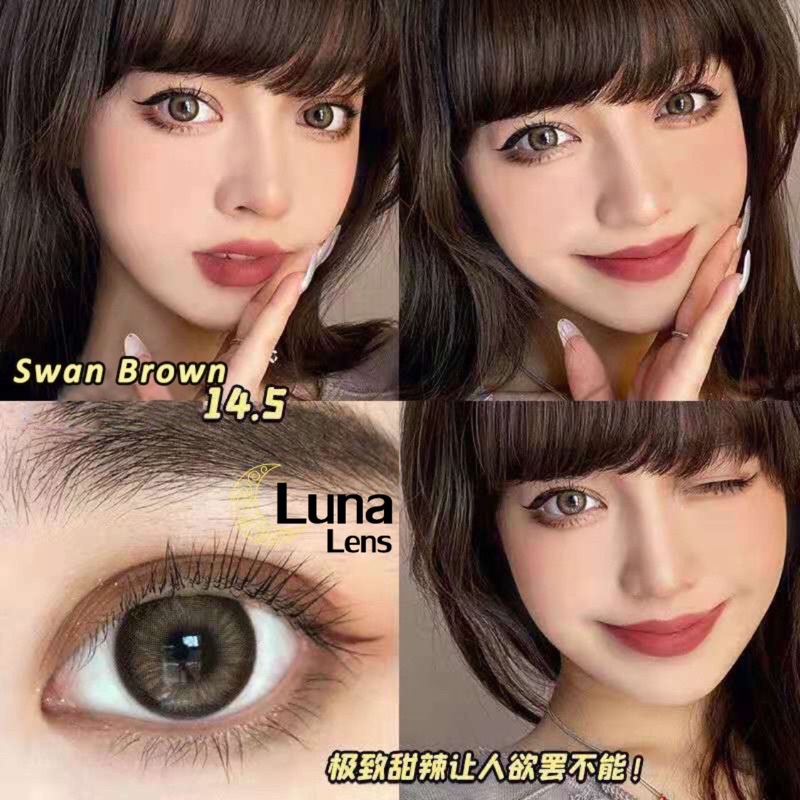 MỘT ĐÔI KÍNH ÁP TRÒNG MÀU NÂU SWAN BROWN SIÊU ÊM SIÊU MỀM NỘI ĐỊA TRUNG QUỐC - LENS CÓ ĐỘ CẬN