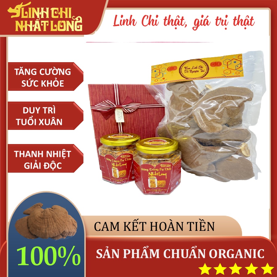 Set Quà Biếu Vì Sức Khỏe- Set Quà tặng Nấm Linh Chi Nhất Long Thượng hạng cao cấp- Quà Tặng Ý Nghĩa