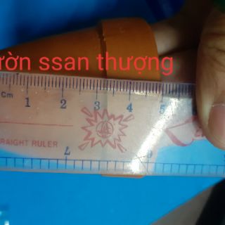Chậu đất nung đỏ 6,5 x5 cm