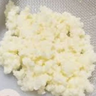Nấm sữa chua kefir