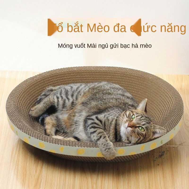 Mèo cào cát một miếng lót mèo chống mài mòn chậu không rơi vãi mảnh vụn Bốn mùa phổ biến cát vệ sinh cho mèo cào bảng nh