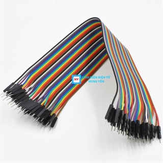 Dây bus 40P 10CM - 20CM (40 sợi)