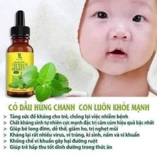 Dầu húng chanh minion