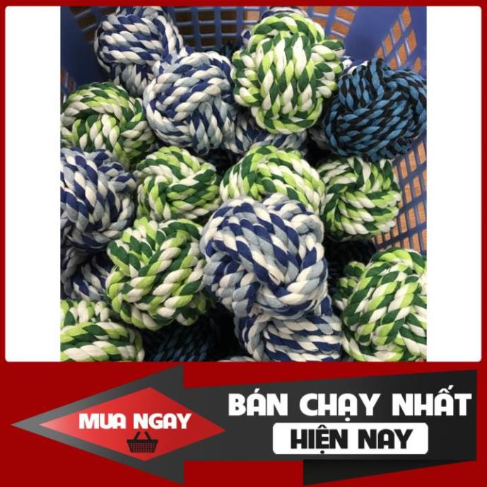 [ Bán sỉ ] ĐỒ CHƠI BÓNG CUỘN THỪNG TẬP CẮN