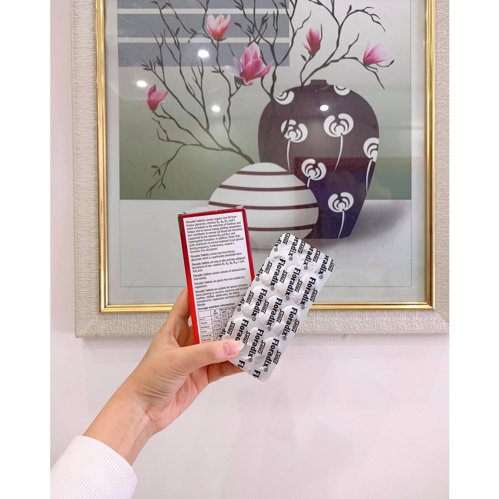 Sắt viên hữu cơ từ rau củ Floradix  - hộp 126 viên