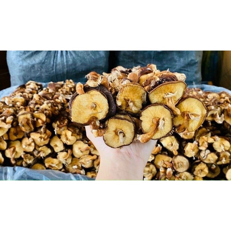 Nấm Hương Rừng Tây Bắc To Dai Ngọt Thơm 500Gram