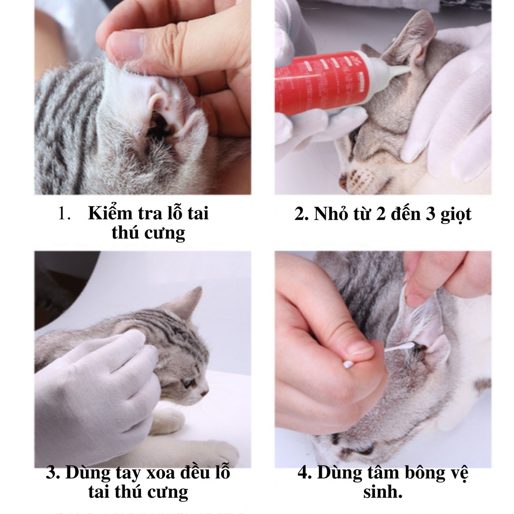 Dung dịch nhỏ tai, làm sạch tai và ngăn ngừa viêm tai cho chó mèo Borammy  maddie