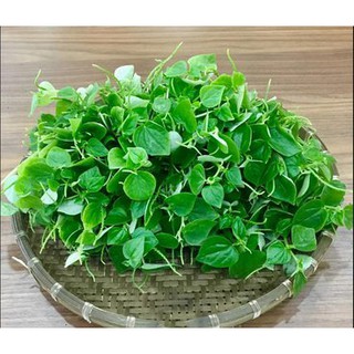 0,5gr - HẠT GIỐNG RAU CÀNG CUA