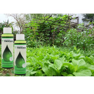 Trichoderma ngừa nấm bệnh dạng lỏng 100ml