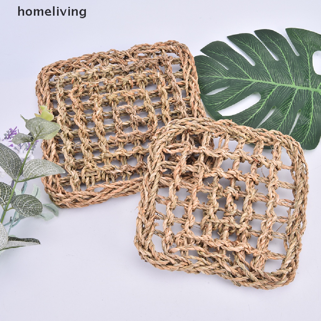 Võng Nằm Cho Thằn Lằn Bò Sát Tiện Lợi