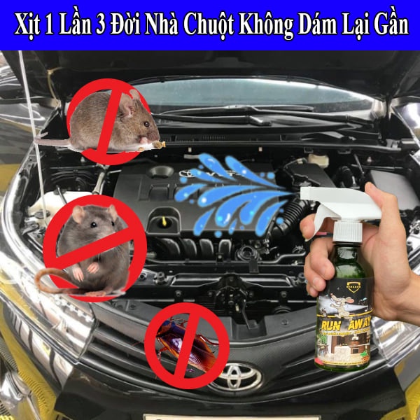 Xịt Chuột, Gián, Muỗi Côn Trùng Sinh Học BioCare 300ml Không Mùi An Toàn, Hiệu Quả