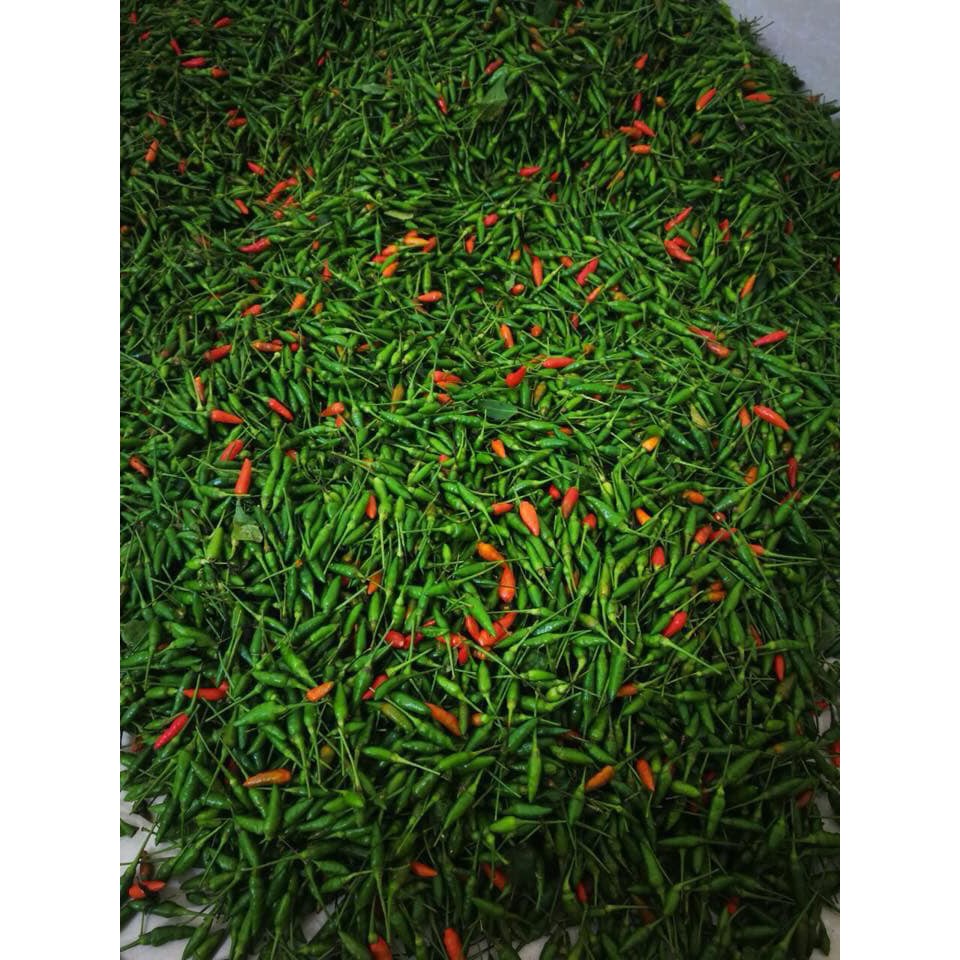 Ớt xiêm xanh   500g